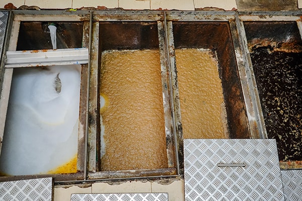 regular grease trap maintenance can help prevent plumbing issues such as clogs and backups